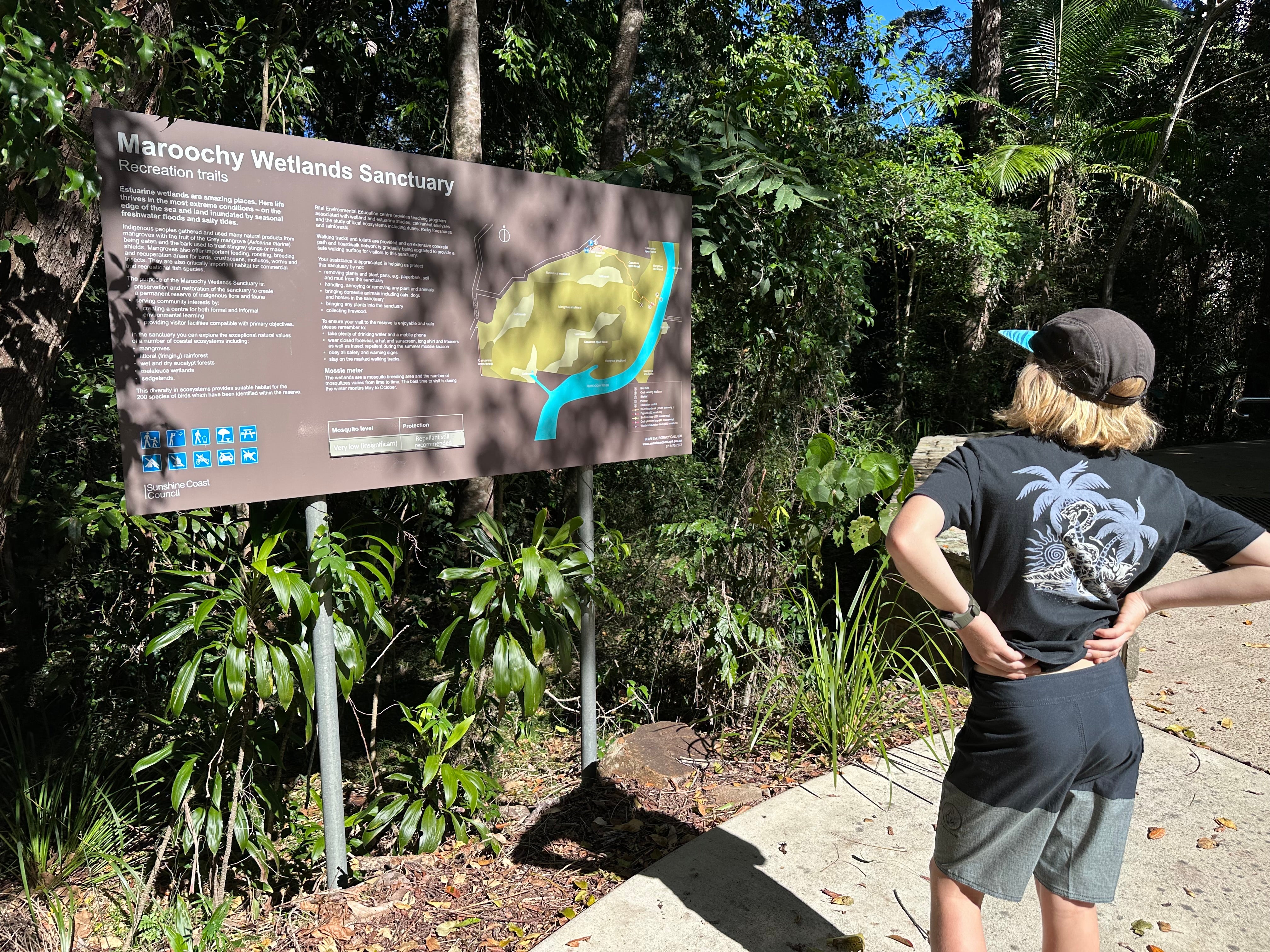 Maroochy%20Wetlands%20Sanctuary%20%286%29.JPG