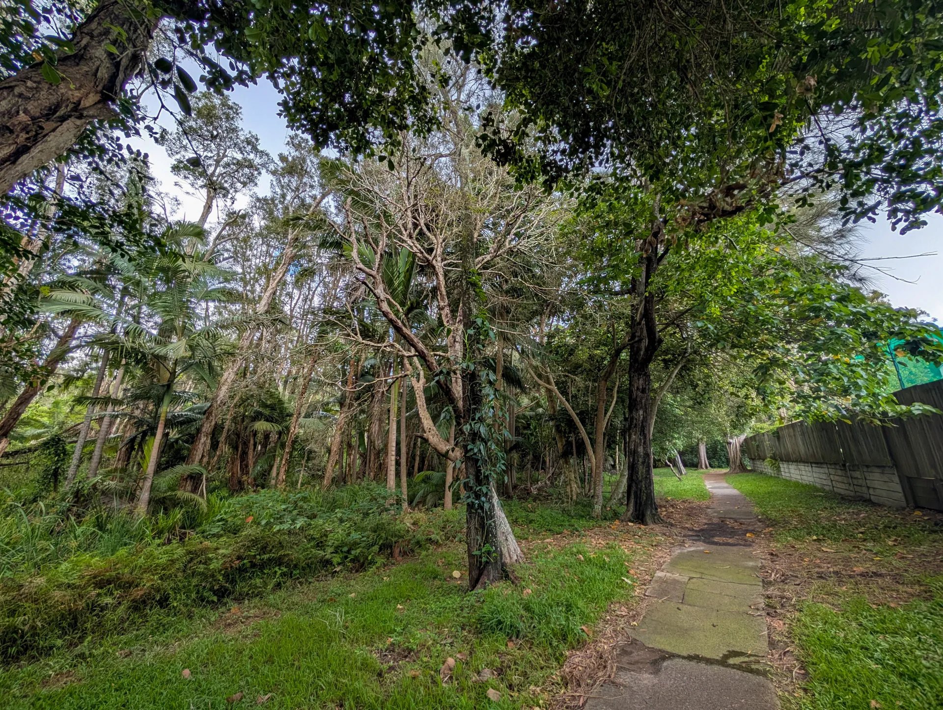 PSX_20250110_105655.jpg