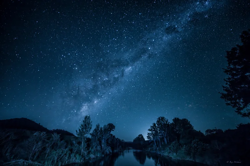 Half the park is after dark