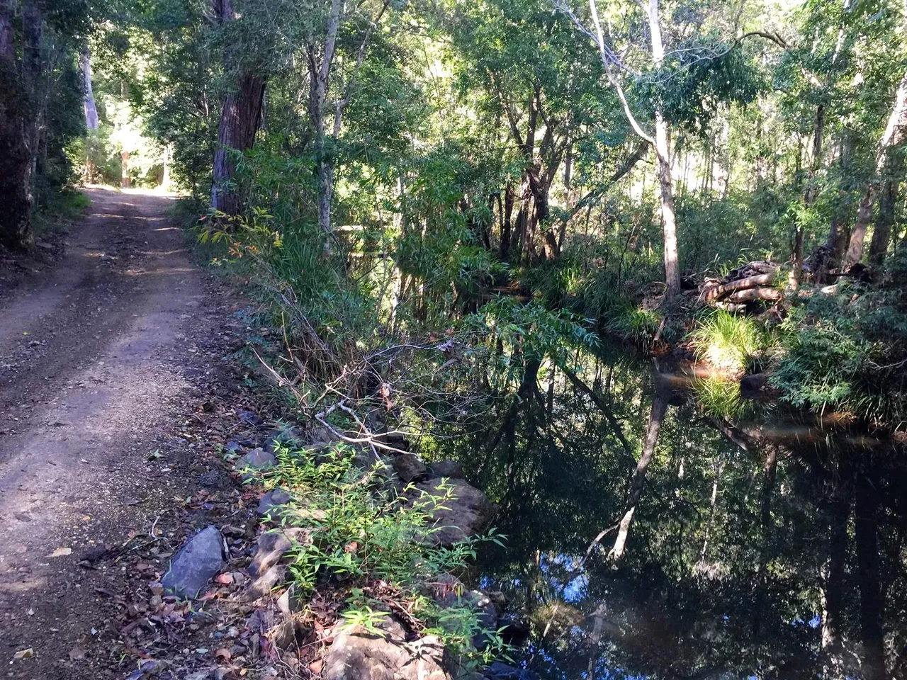 Mapleton National Park – Gheerulla Full Loop Hike