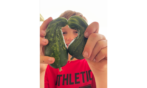young boy holding wonky cucumbers in a love heart