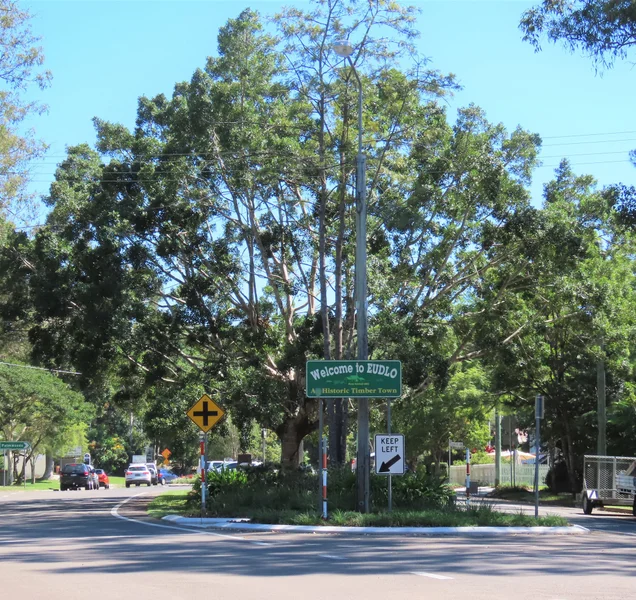 Image-1_Pedestrian-crossing-on-Rosebed-Street-and-Corlis-Avenue-increasing-safety-for-school-students-2.jpg