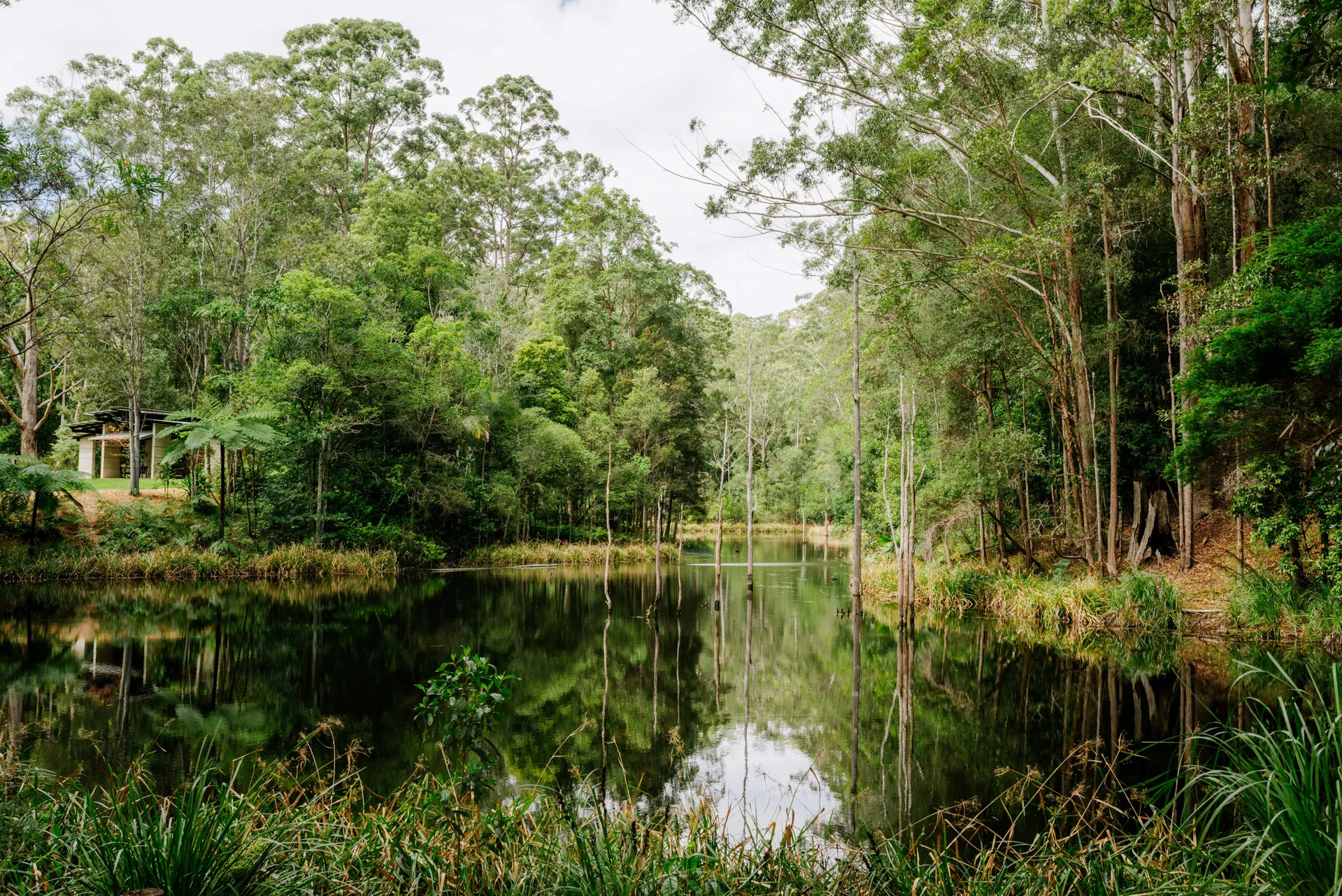 New map shows exactly how our ecosystems are precious - Maroochy Regional Bushland Botanic Garden.