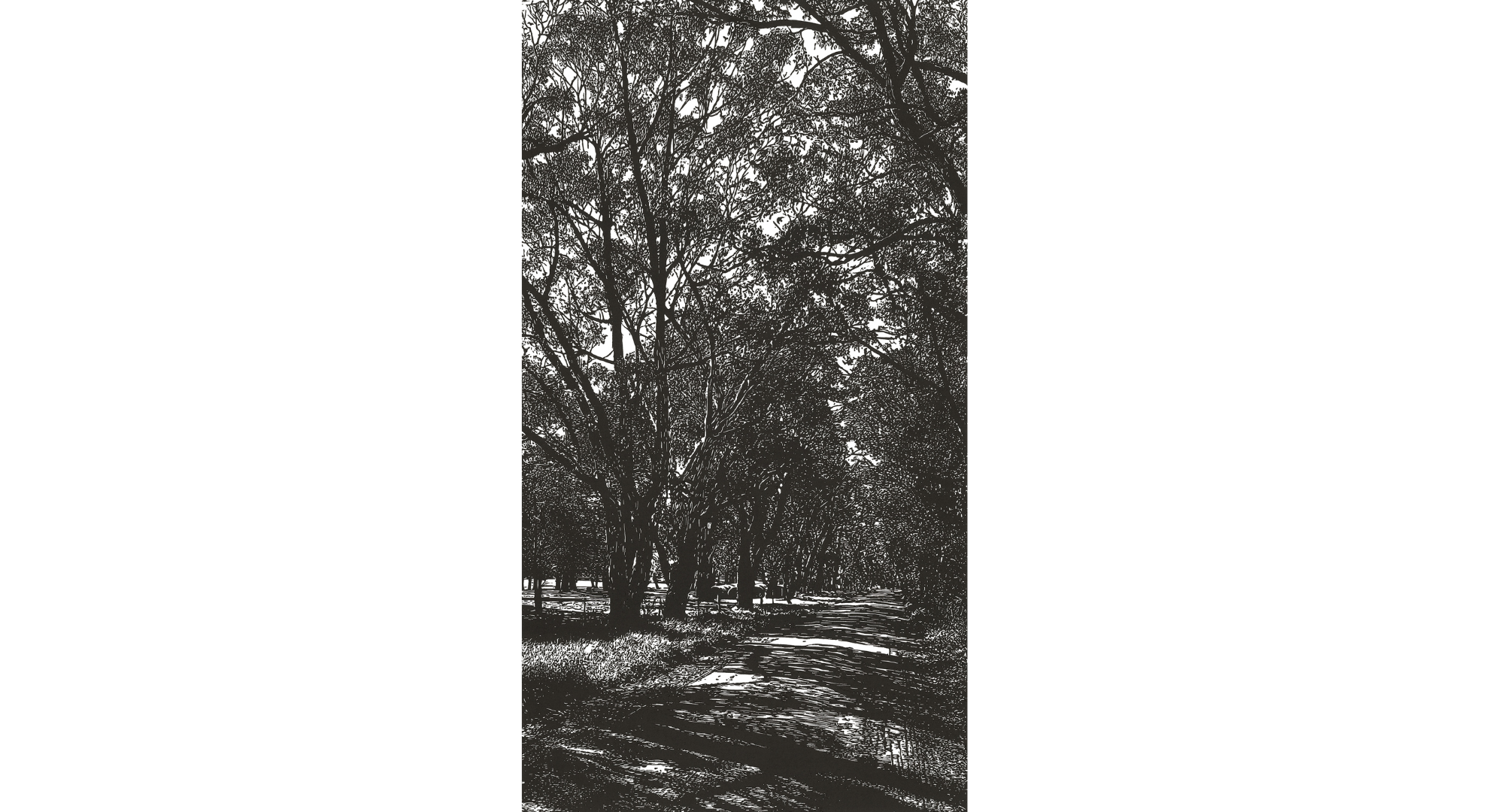 WESTERN_Amanda_Country Lane_RTP_WEB-3000px-300ppi-sRGB-8bit