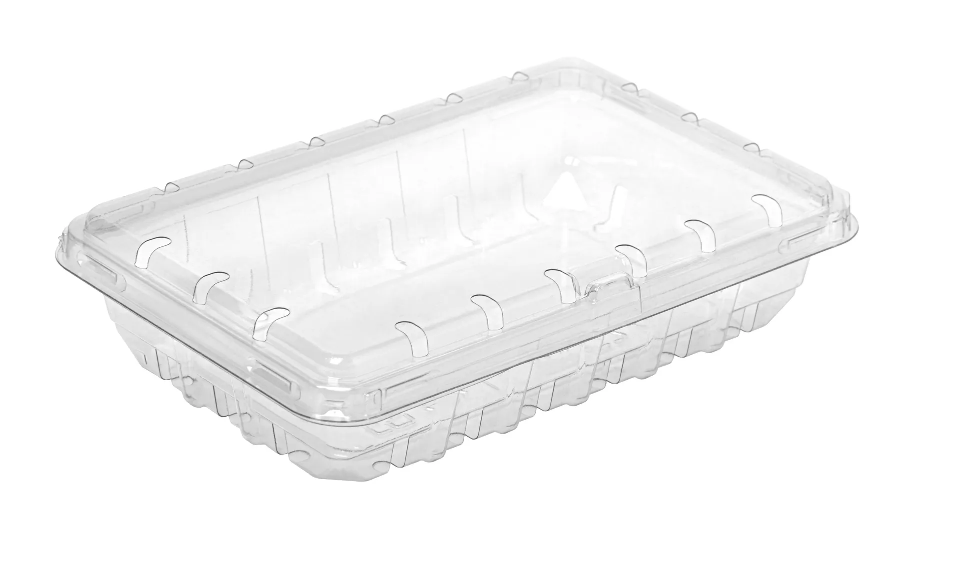 a plastic take away container