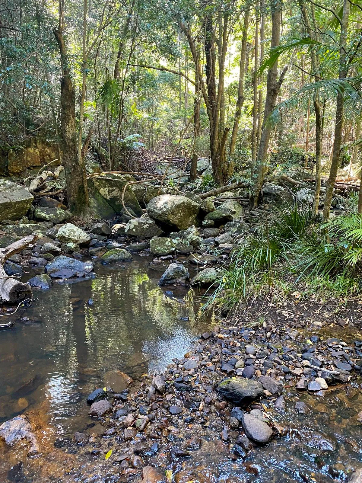 Mapleton National Park – Gheerulla Full Loop Hike