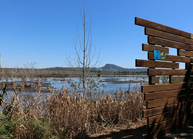 Unitywaters-Yandina-Creek-Wetland-scaled.jpg