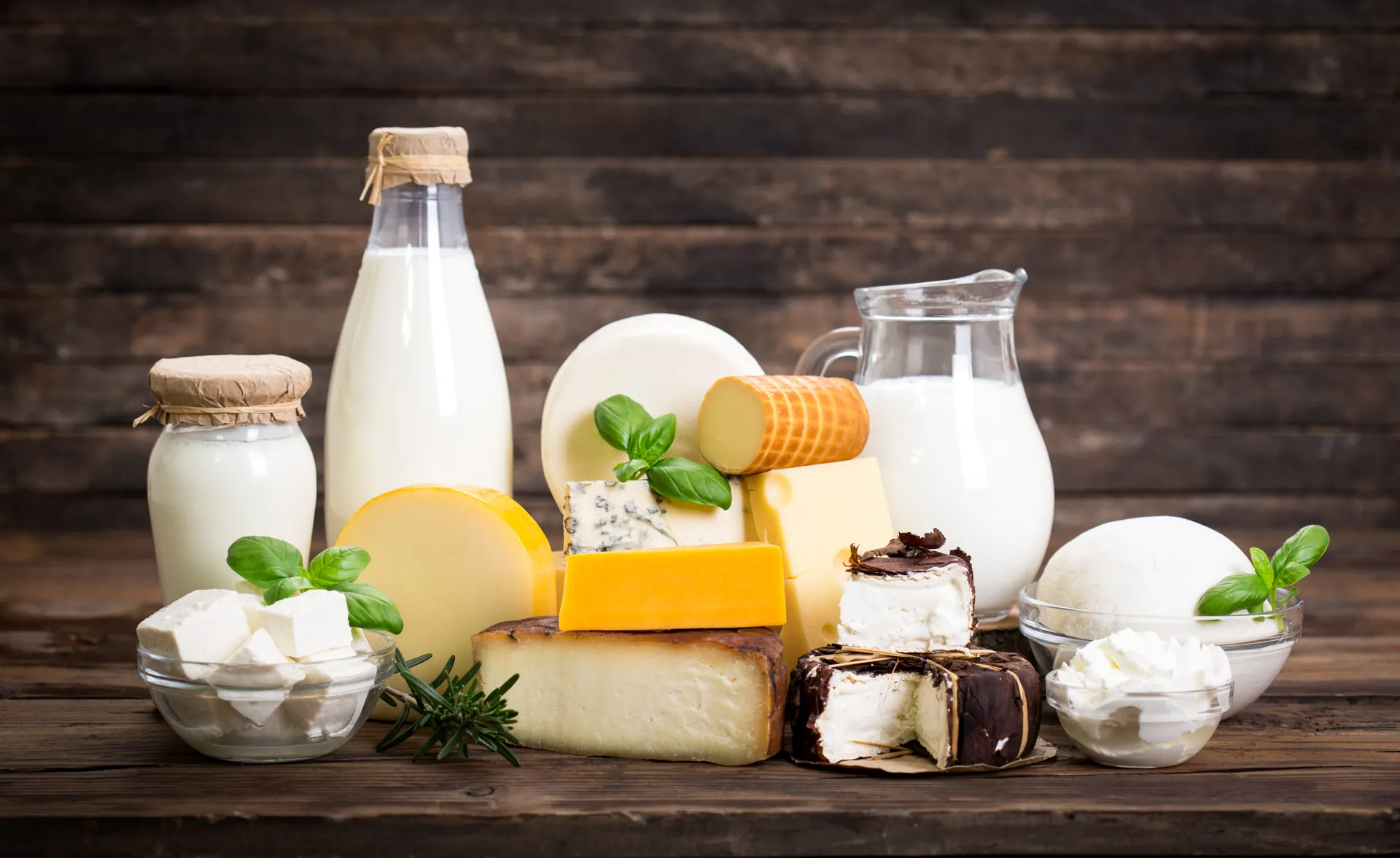 dairy foods