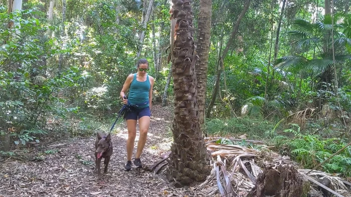 Adventure: Alex Forest Conservation Walk (1.5km)