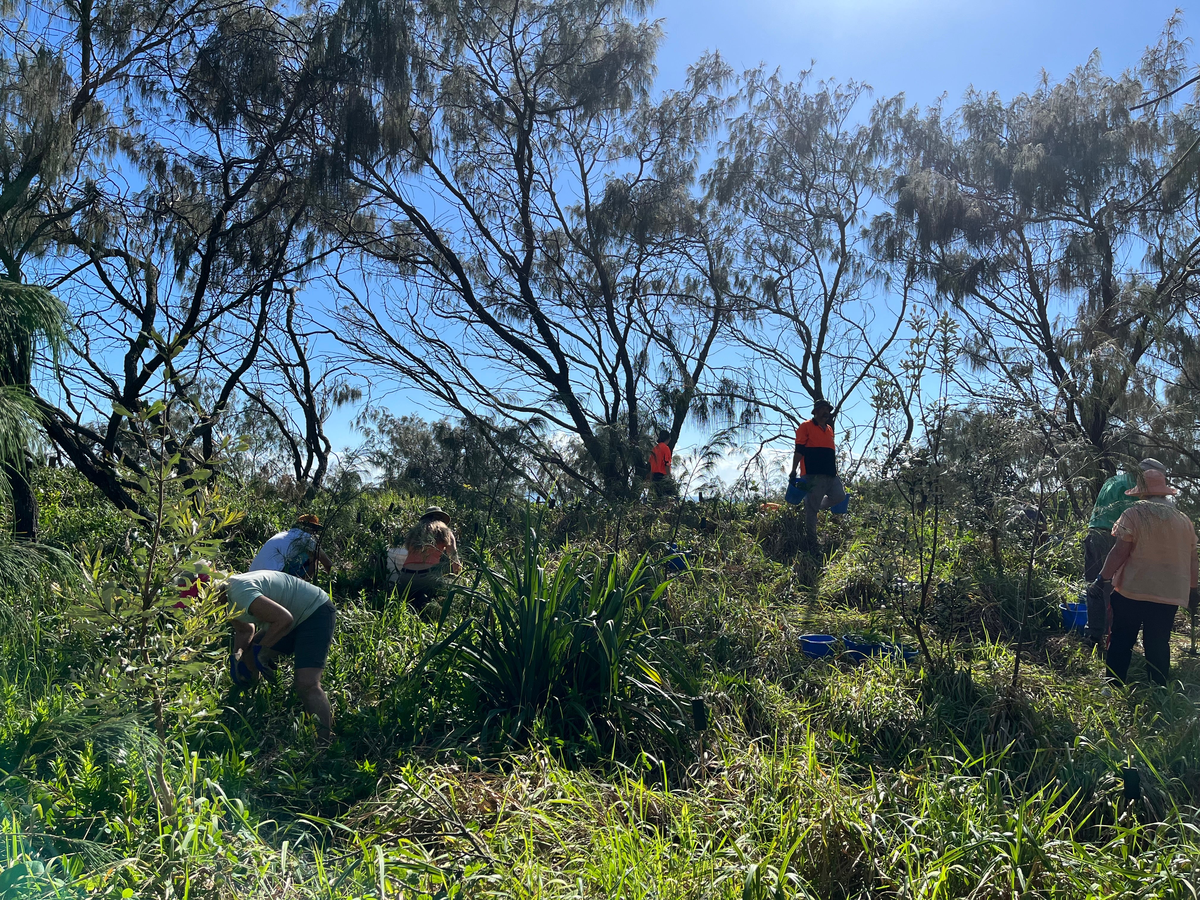 2025 Seeds of Hope 1