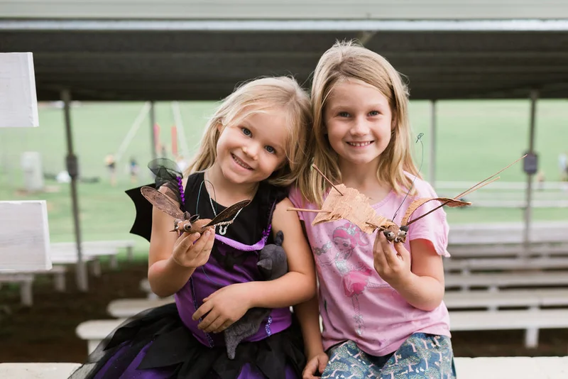 11th Annual Australasian Bat Night at Maleny Showgrounds on Saturday November 15, 2025