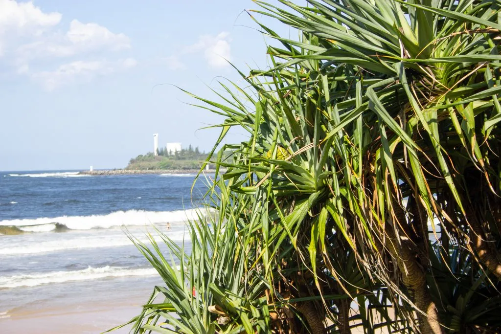 %C2%A9ShaneHastings2022_-632-Mooloolaba-Beach-1024x683.jpg