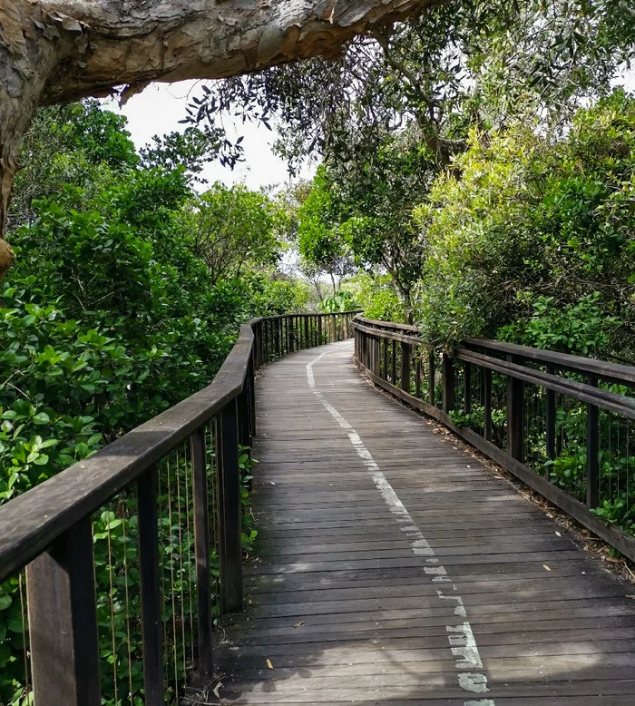 A shady coastal escape for easy adventures