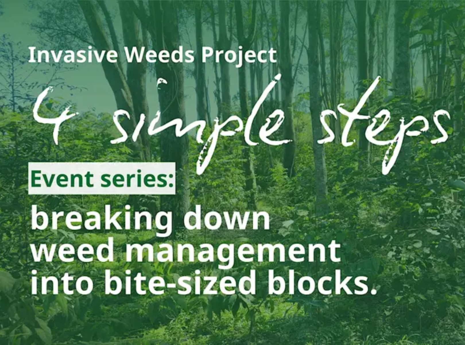 4 simple steps to weed management