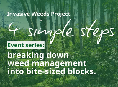 4 simple steps to weed management