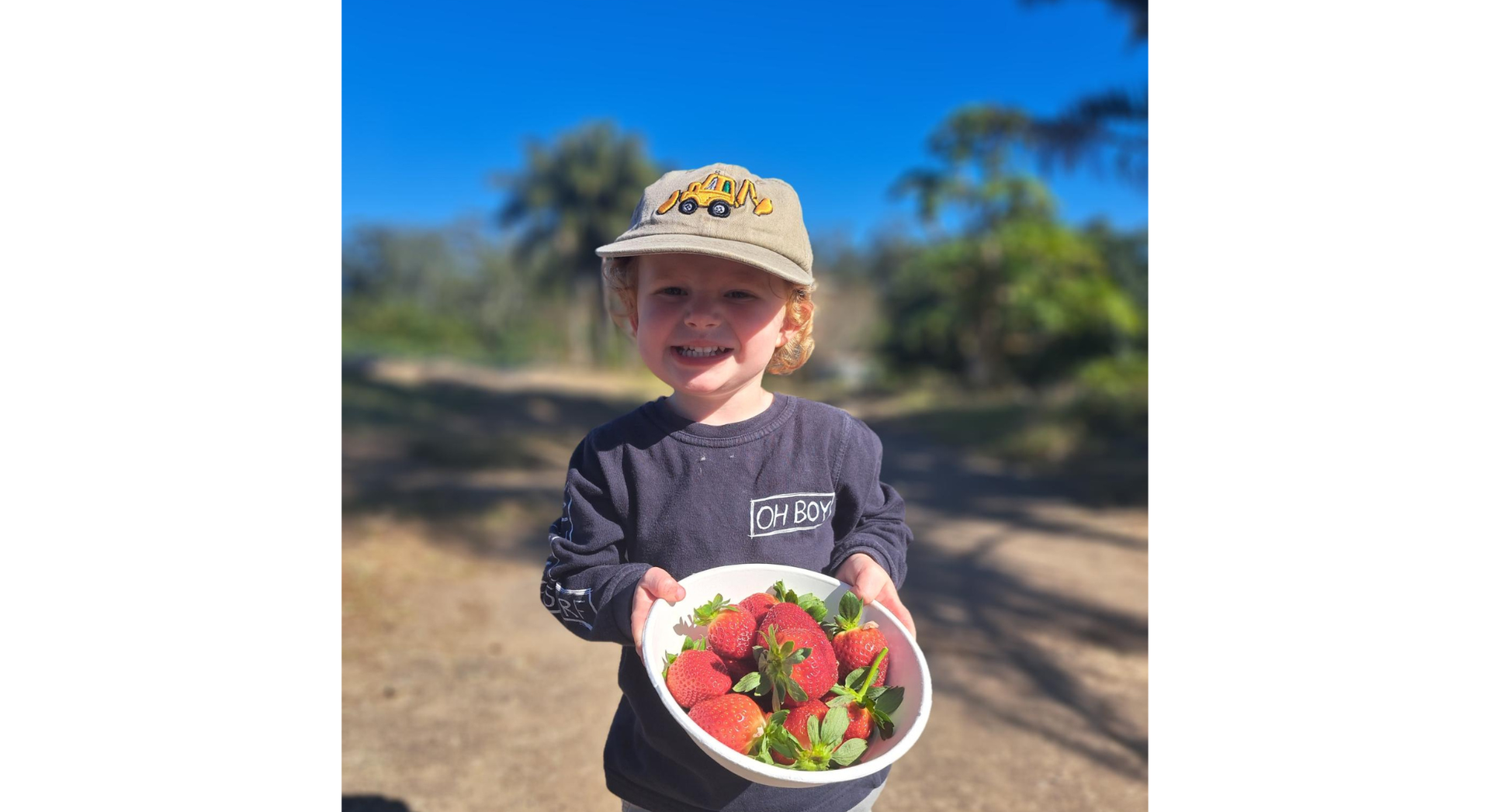 Young boy with a bowl of freshly picked strawberries