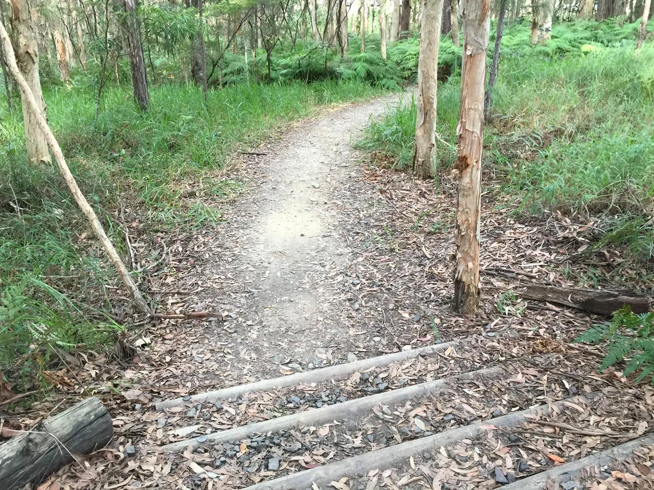 39231_Ewen%20Maddock%20Dam%20Ferny%20Forest%20Mountian%20Bike%20Loop%20%20IMG_2378.jpg