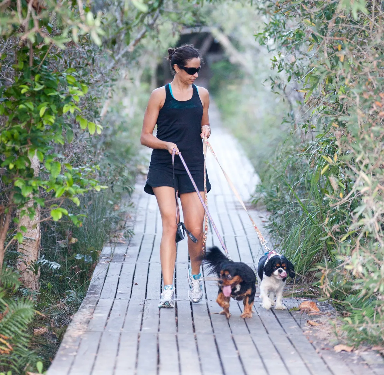 Lady walking with two dogs on boardwalk