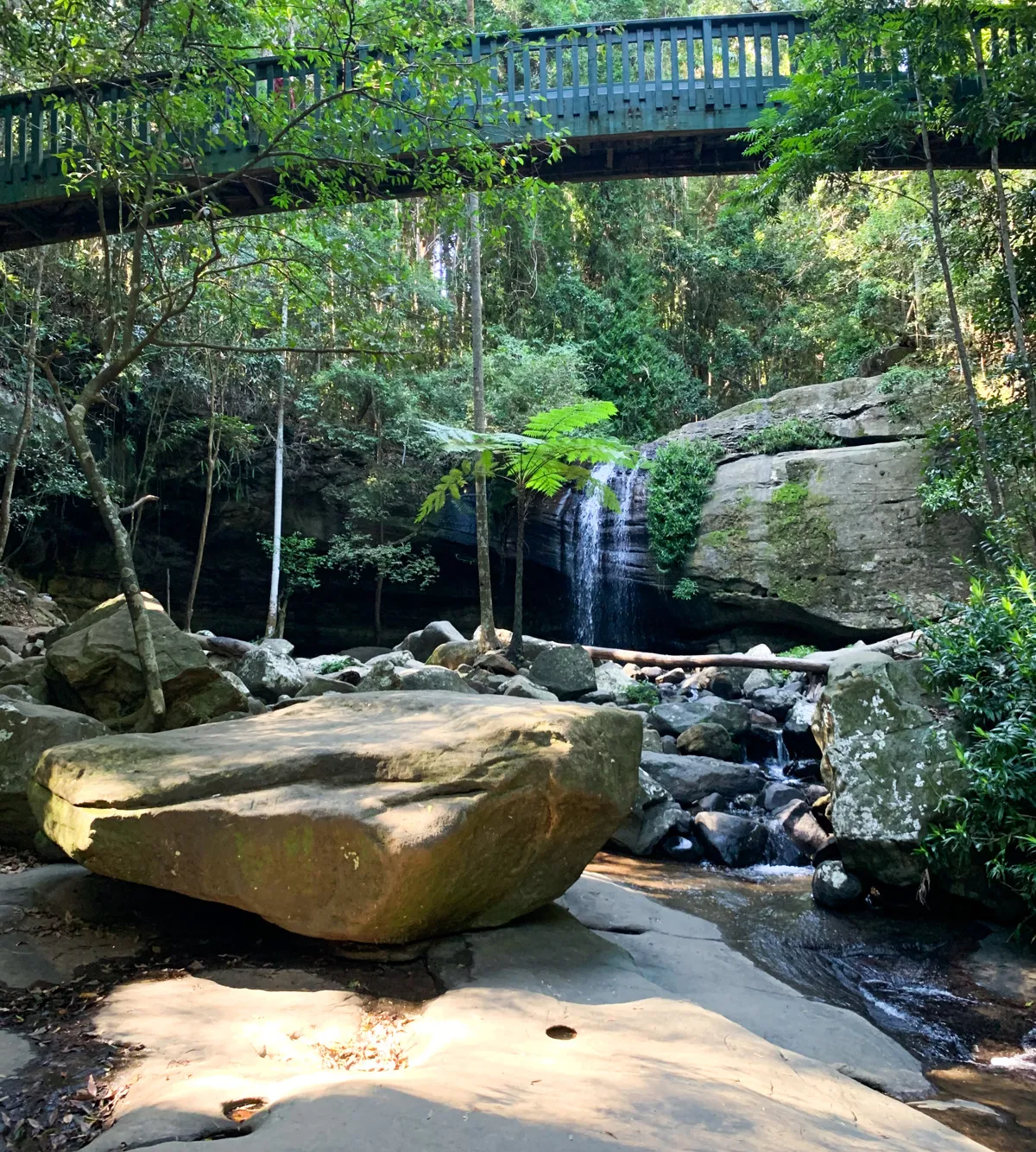 Buderim Forest Park - Falls Loop
