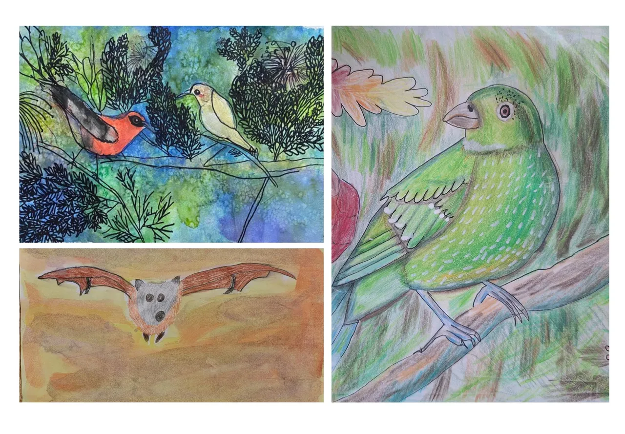 Children's art illustrations of native animals