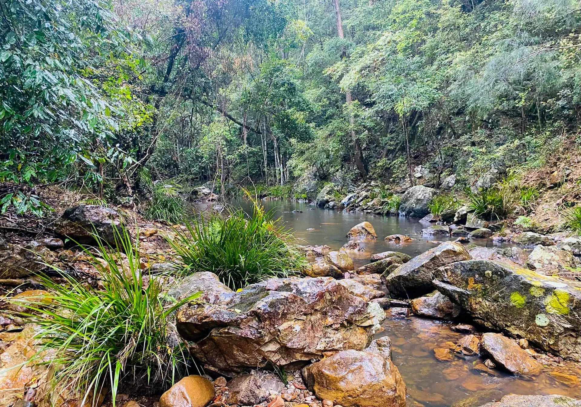 Mapleton National Park – Gheerulla Full Loop Hike