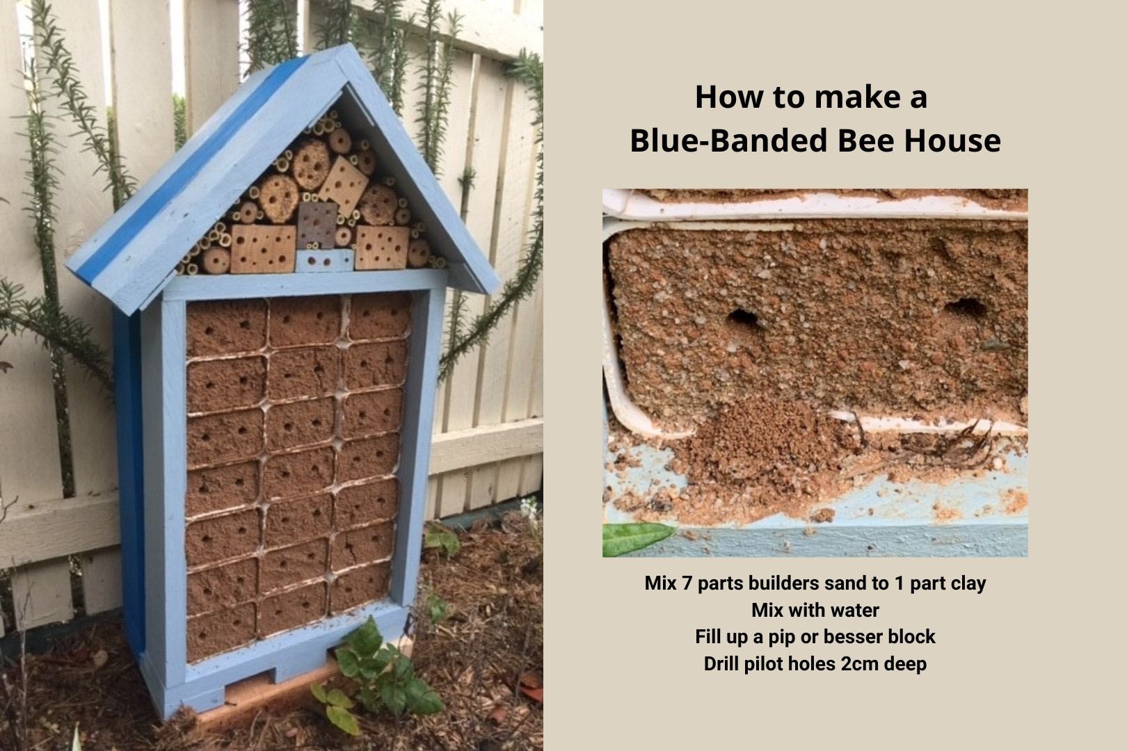 How to make a nest for Blue-Banded Bees