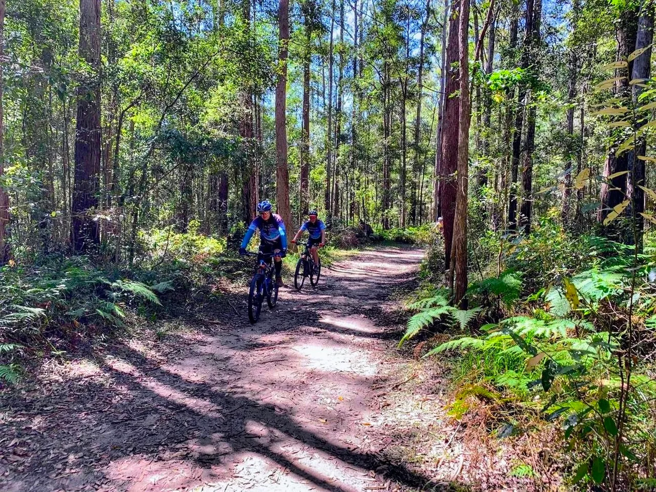 Ewen Maddock Dam Main Track