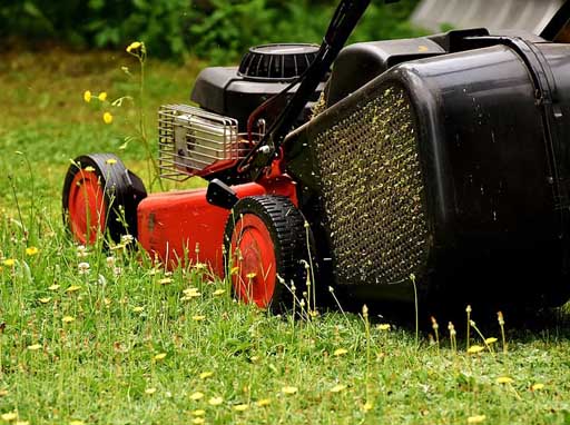 lawnmower