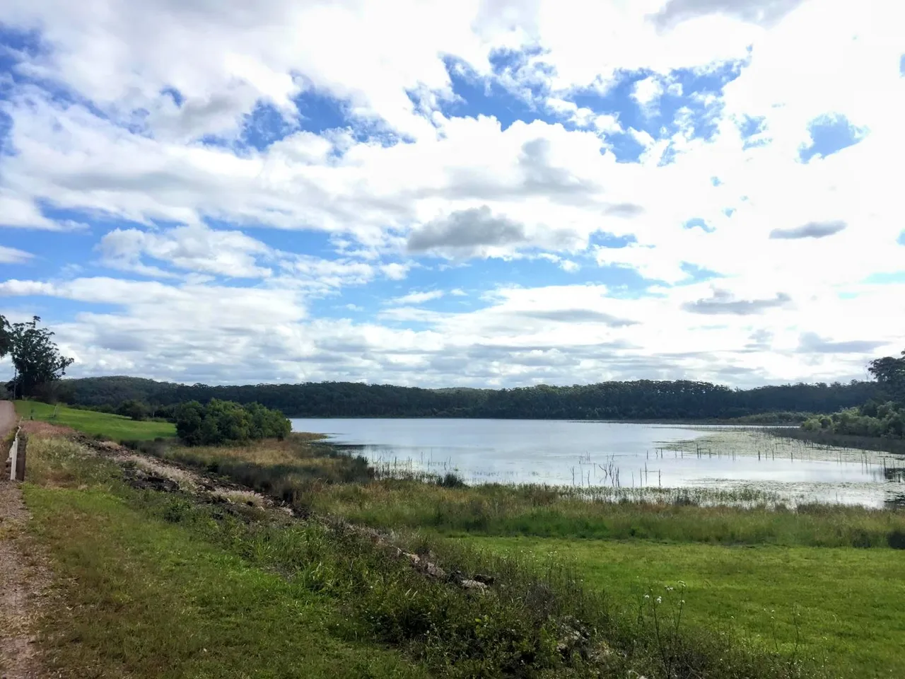 Cooloolabin Dam – Day-use short walk