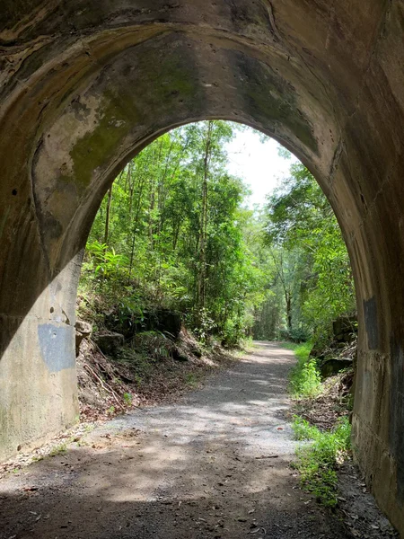 Dularcha National Park – Tunnel Track