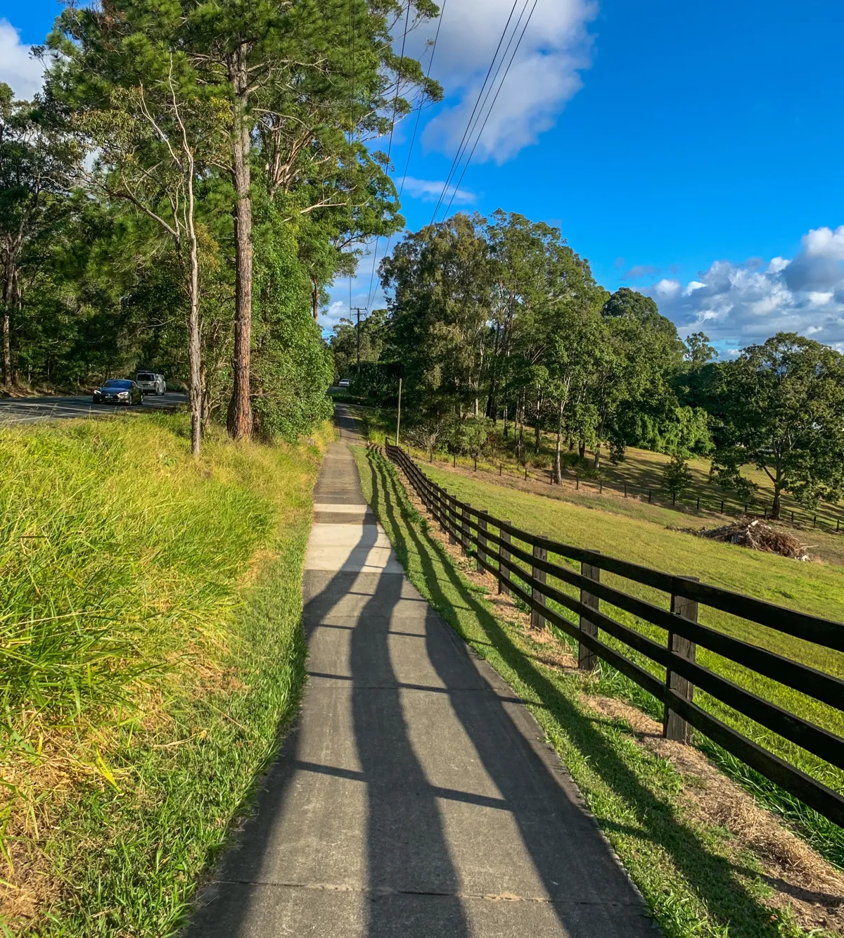 Woombye to Palmwoods trail