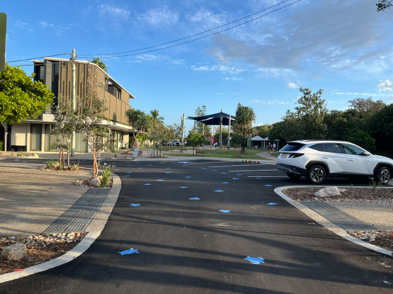 Streestcape view of Marcoola showing turtle imagery on the road.