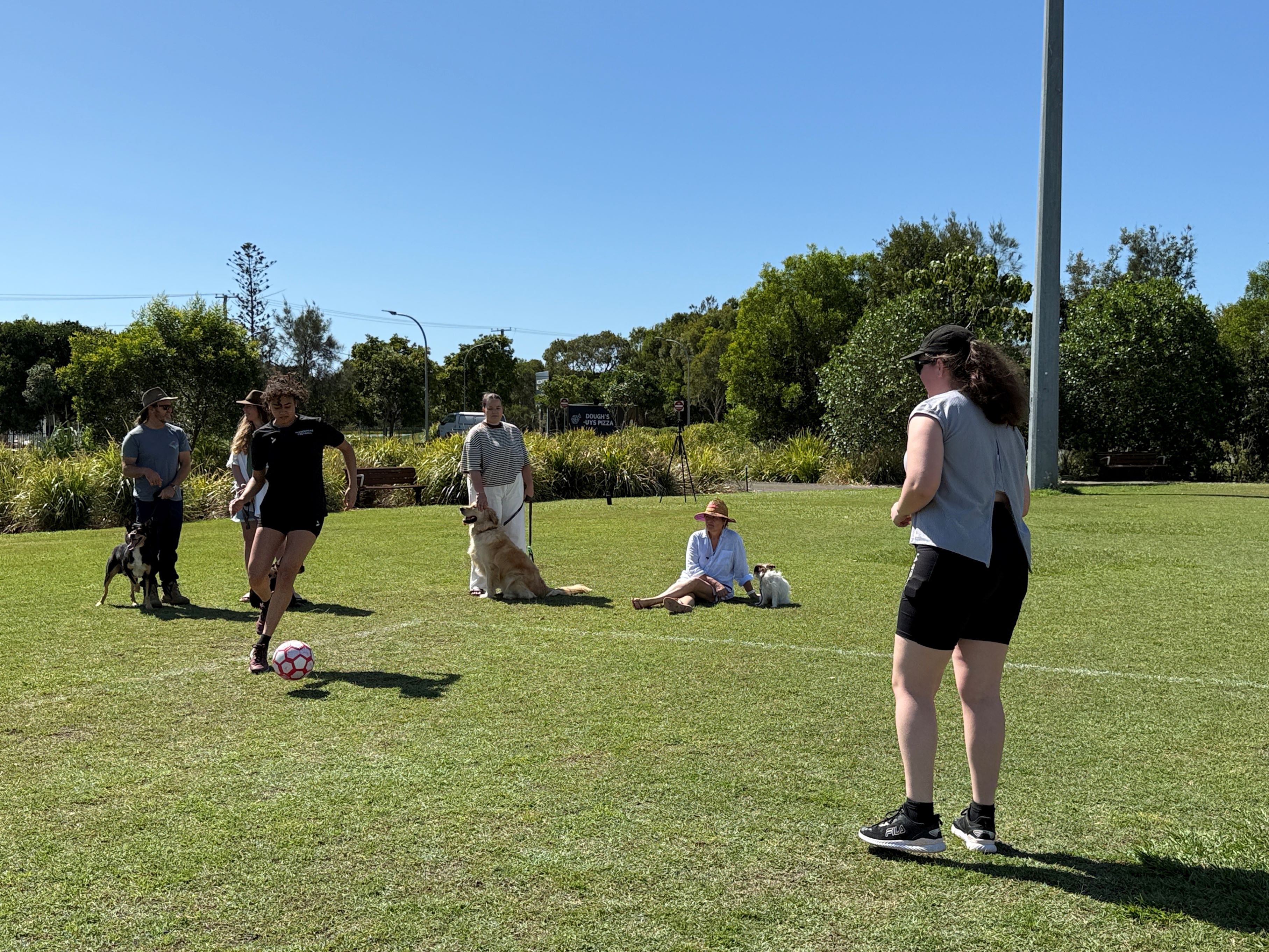 dogs and owners at sports fields with dogs on leash people playing soccer