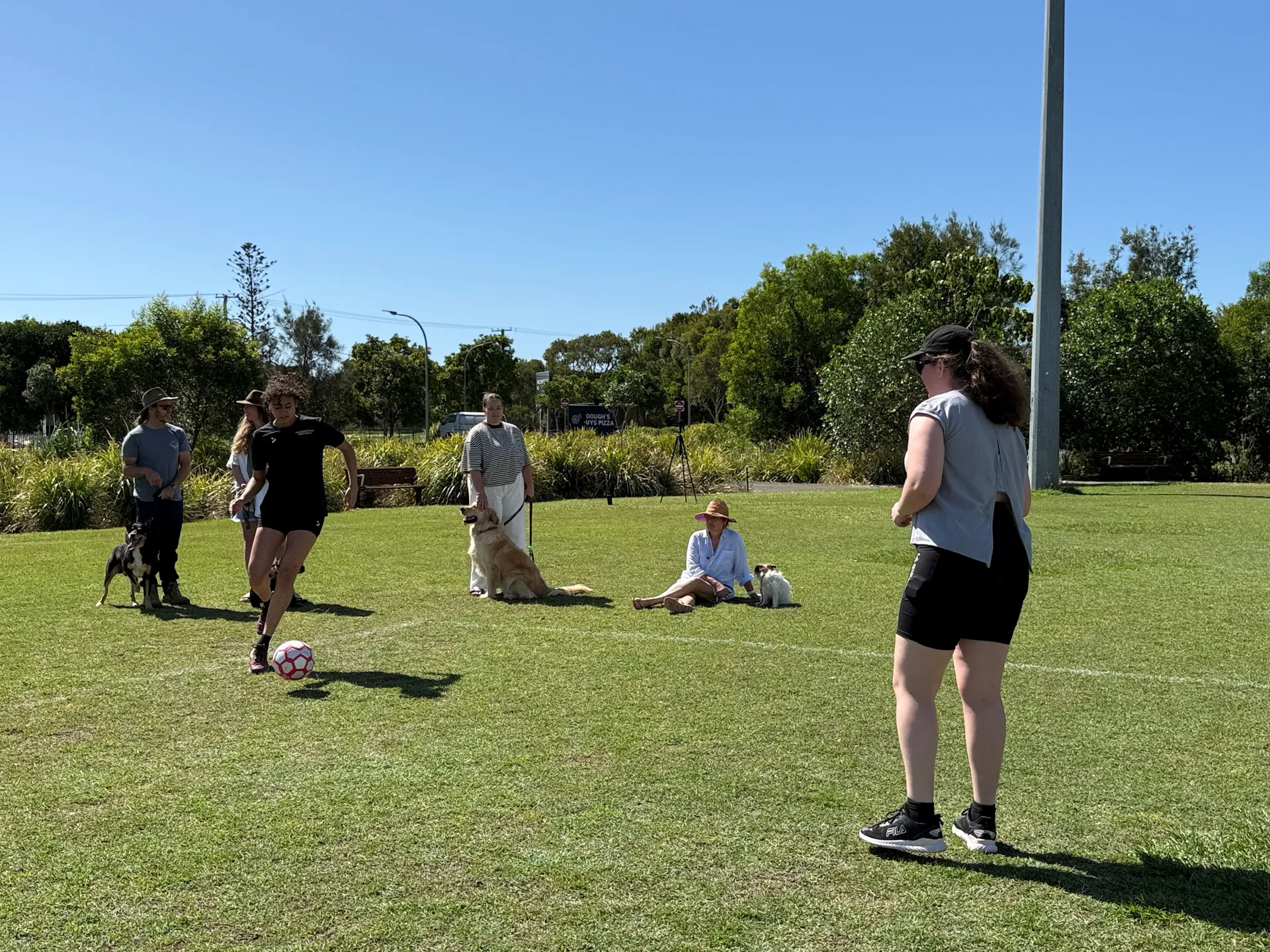 dogs and owners at sports fields with dogs on leash people playing soccer