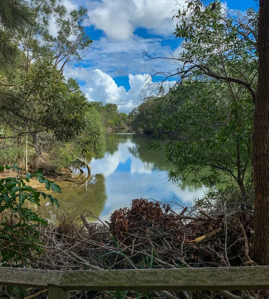 Currimundi South Arm Loop