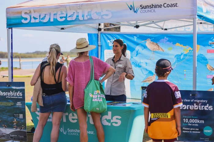 Shorebird Festival