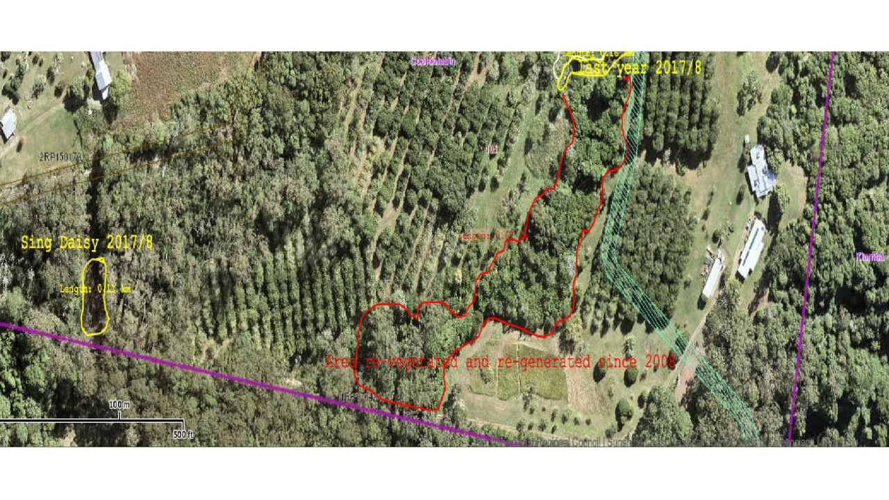 Before%20aerial%20view%20Cooloolabin%20property%20landholder%20environment%20grant.png
