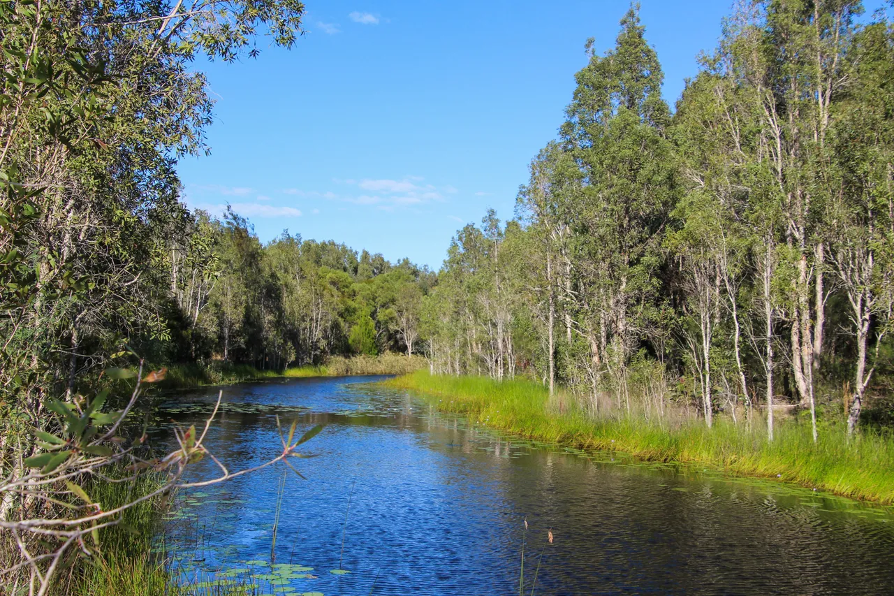 Lamerough Creekside Walk, Pelican Waters