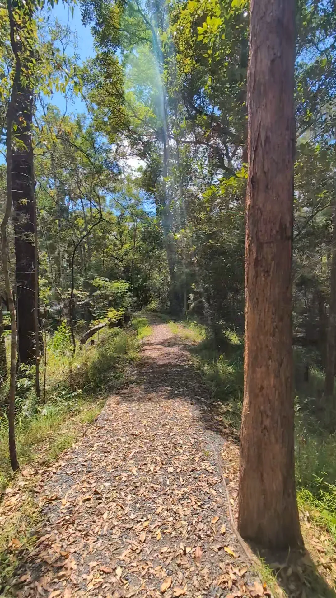 Little Rocky Creek - Axe grinding site