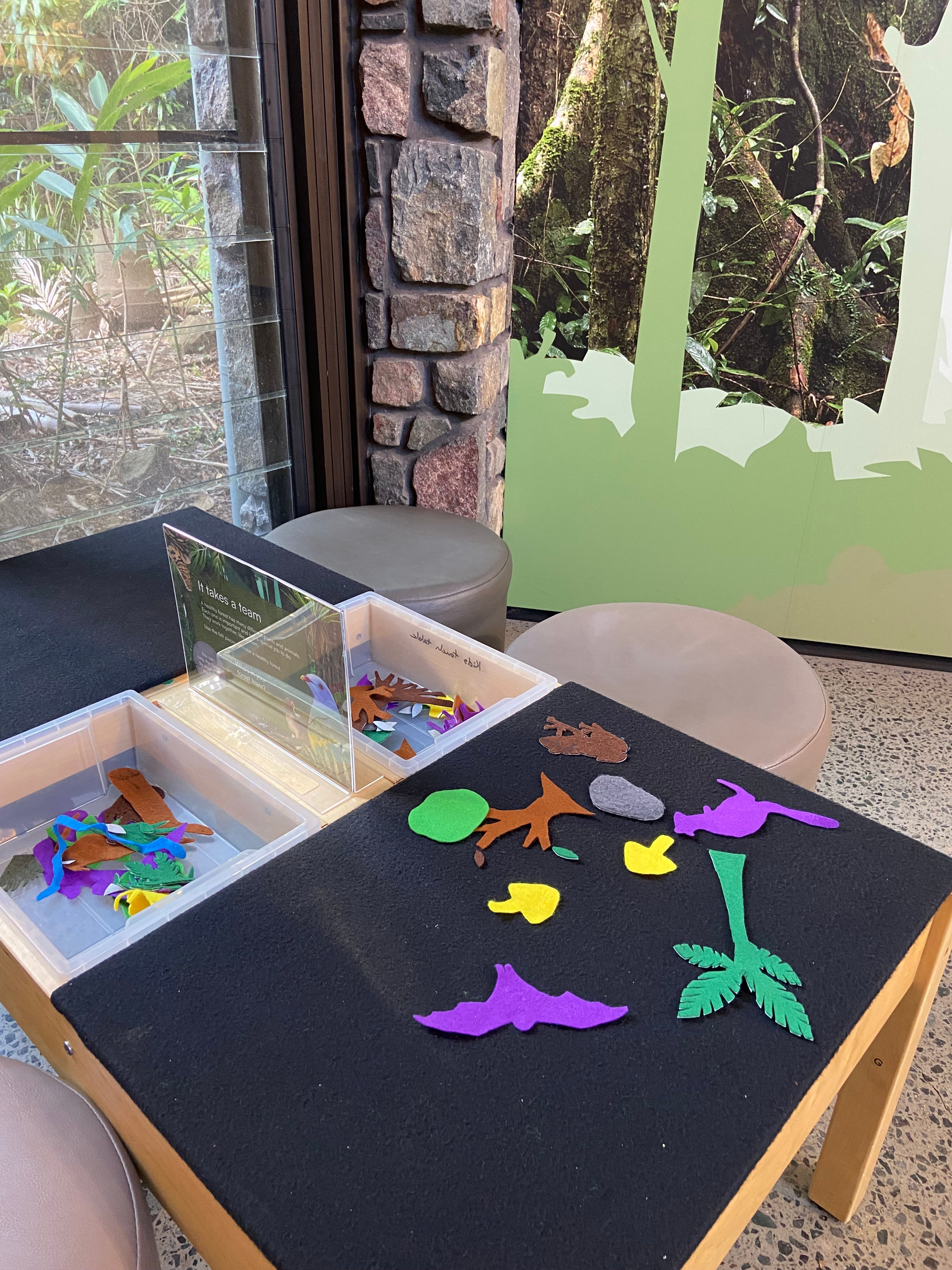 New exhibit at Mary Cairncross Scenic Reserve Rainforest Discovery Centre