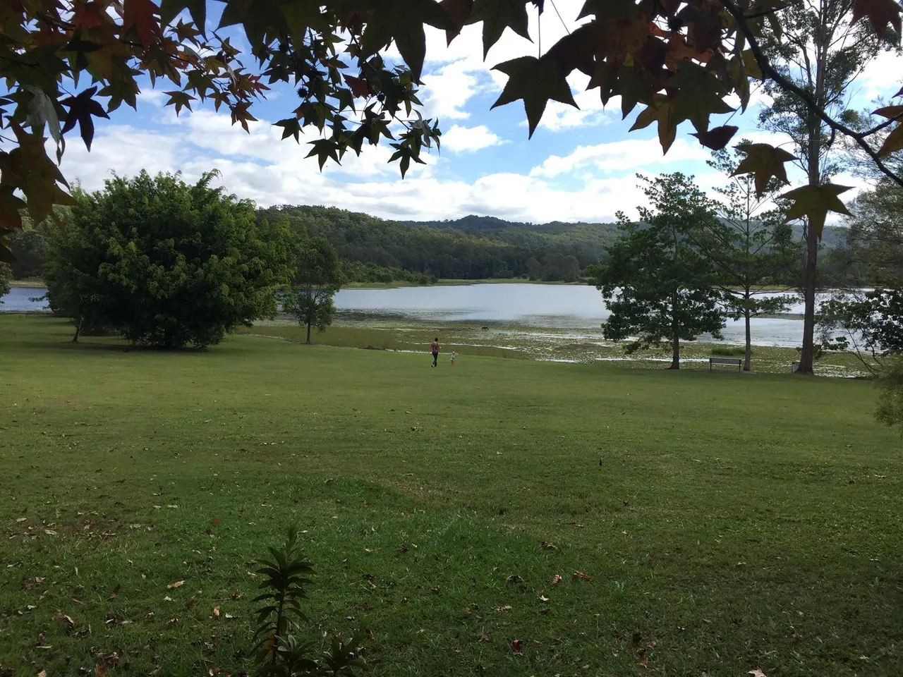 Wappa Dam and Falls