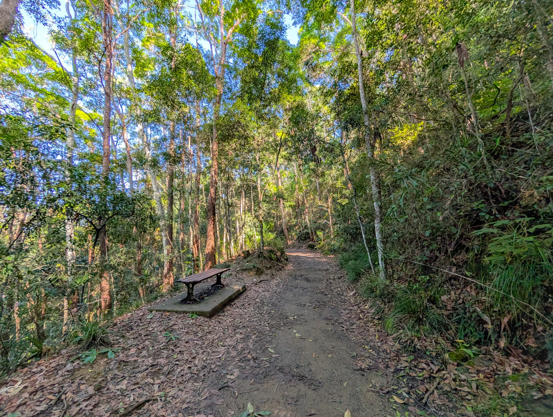 Buderim Tramway Trail