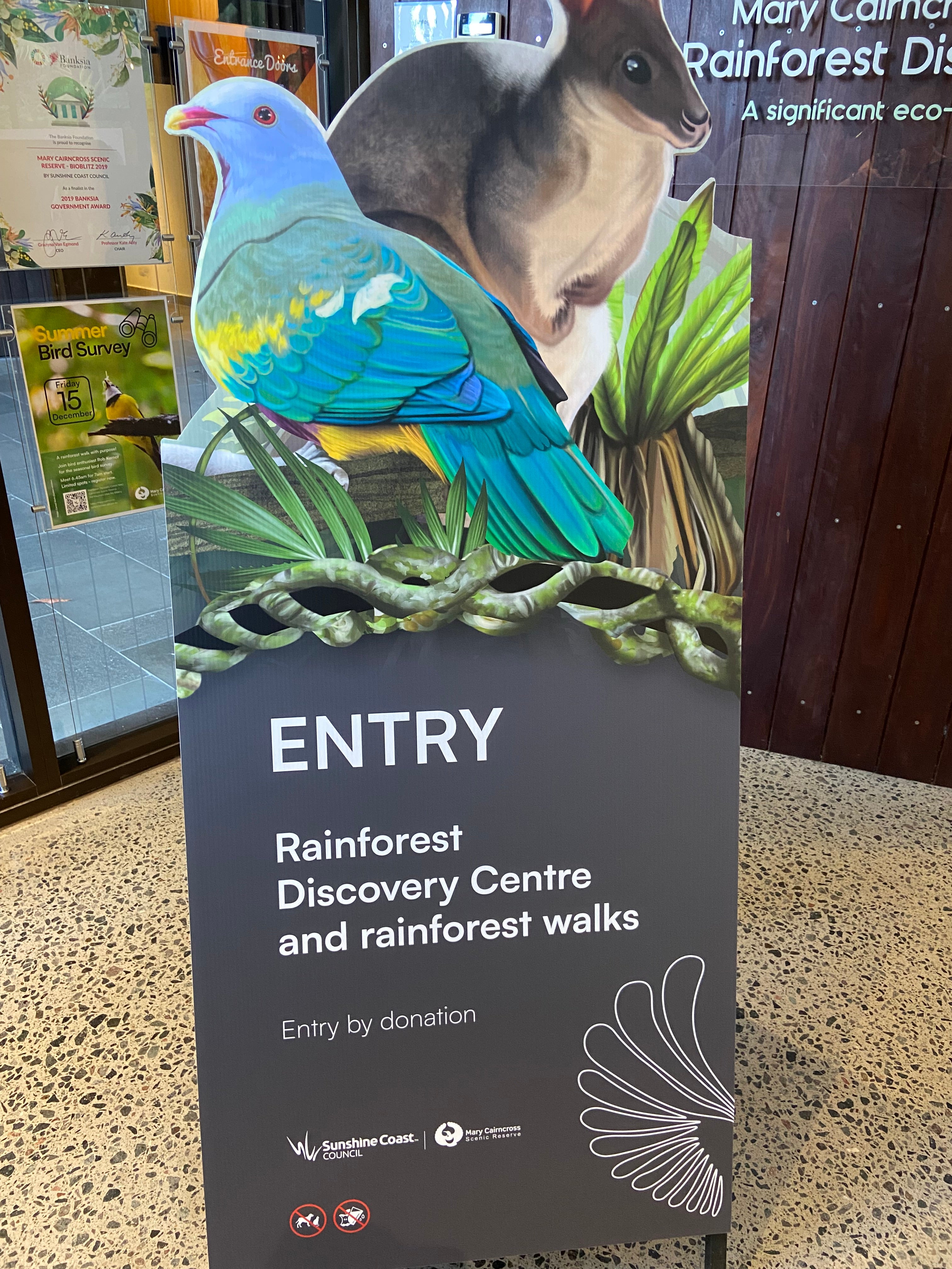 New exhibit at Mary Cairncross Scenic Reserve Rainforest Discovery Centre
