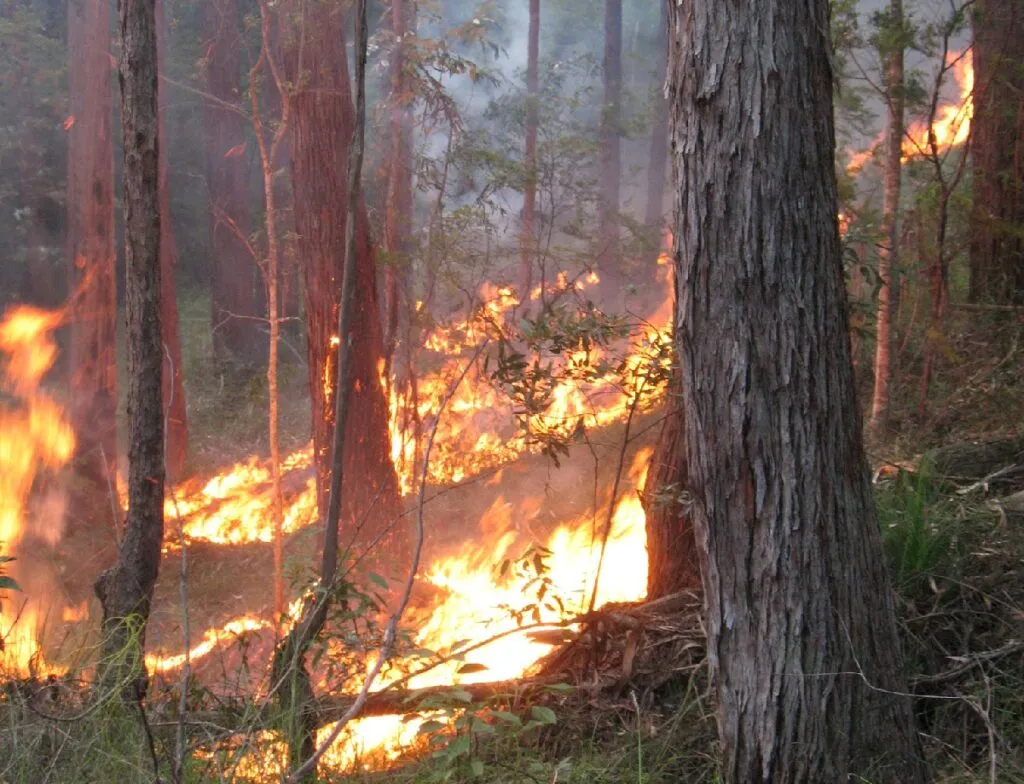 Rural-fire-fighting-1024x784.jpg