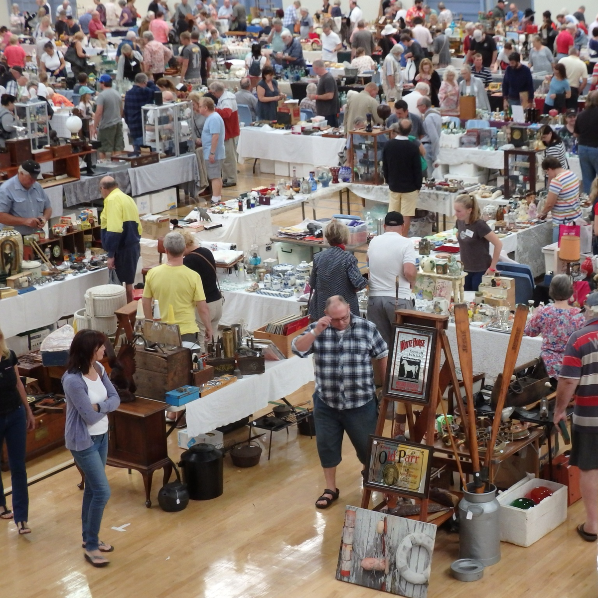 Unearthing Treasures Sunshine Coast Antiques & Collectables Show