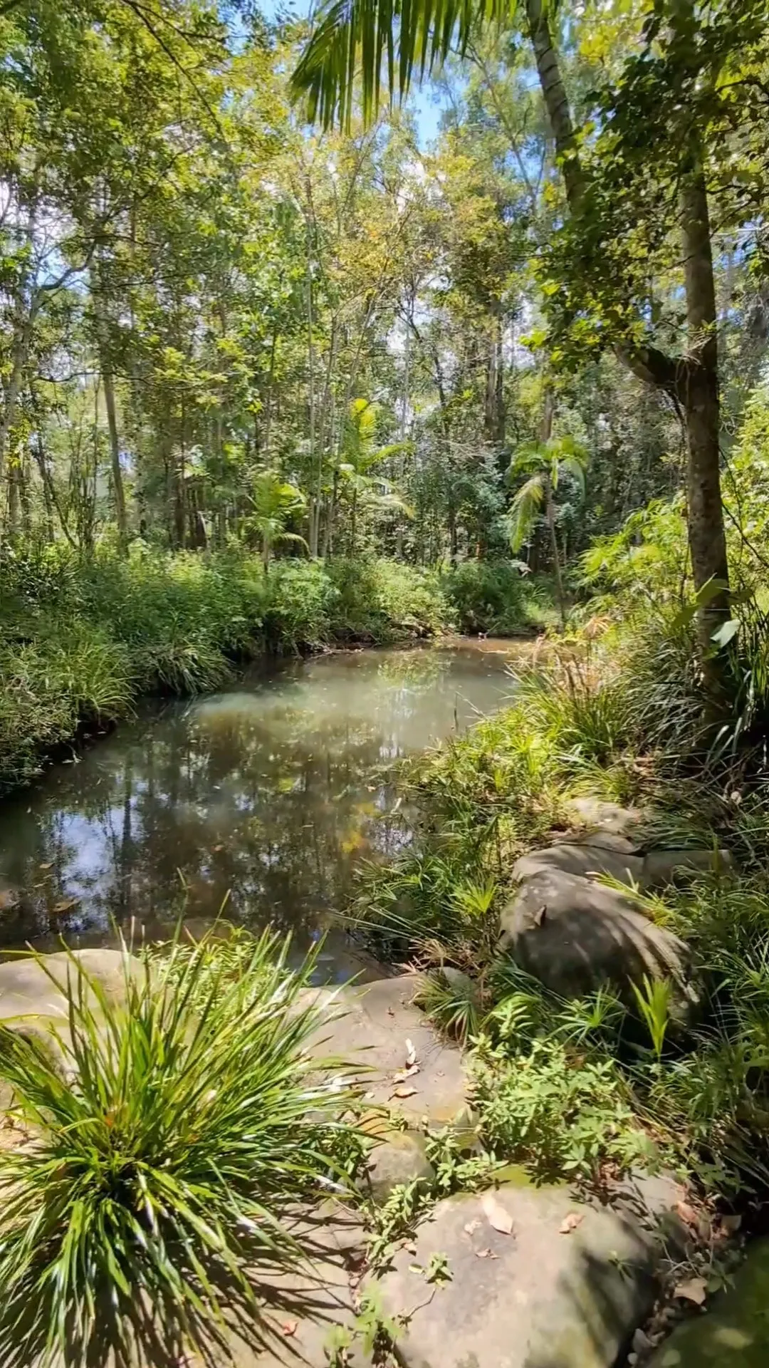 Little Rocky Creek - Axe grinding site