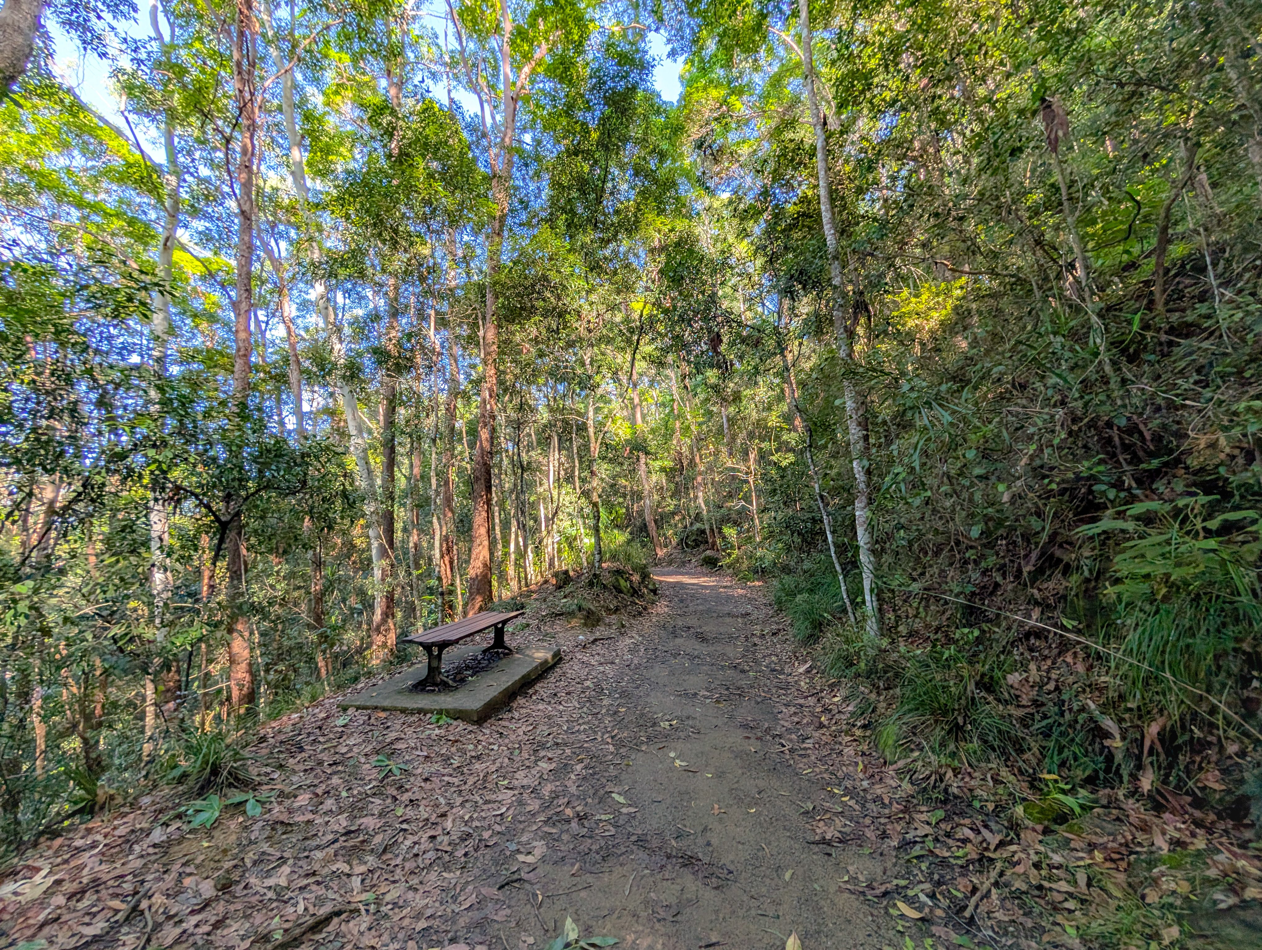 PSX_20250315_145516.jpg