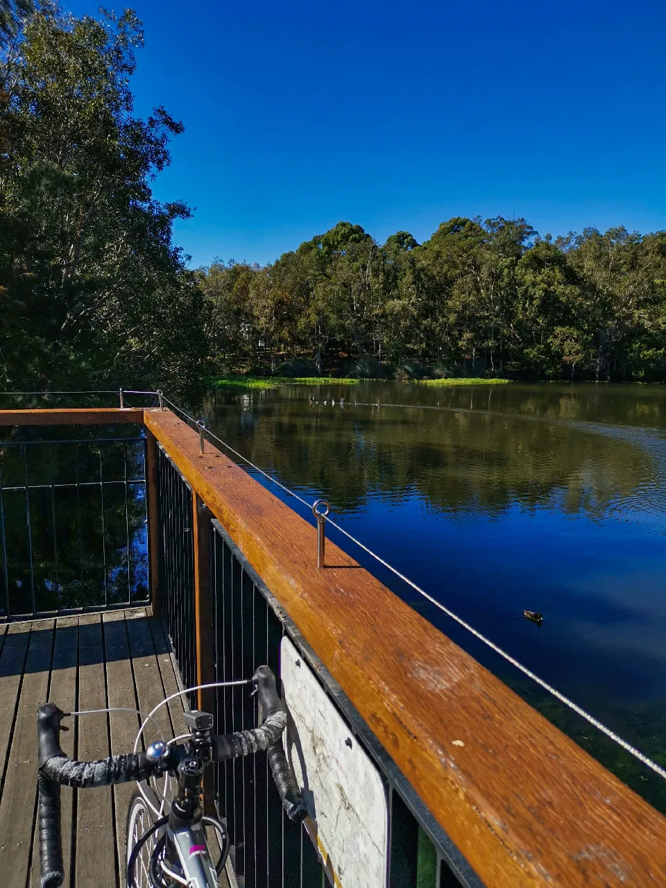 64575_Viewing-deck_edited-1.jpg