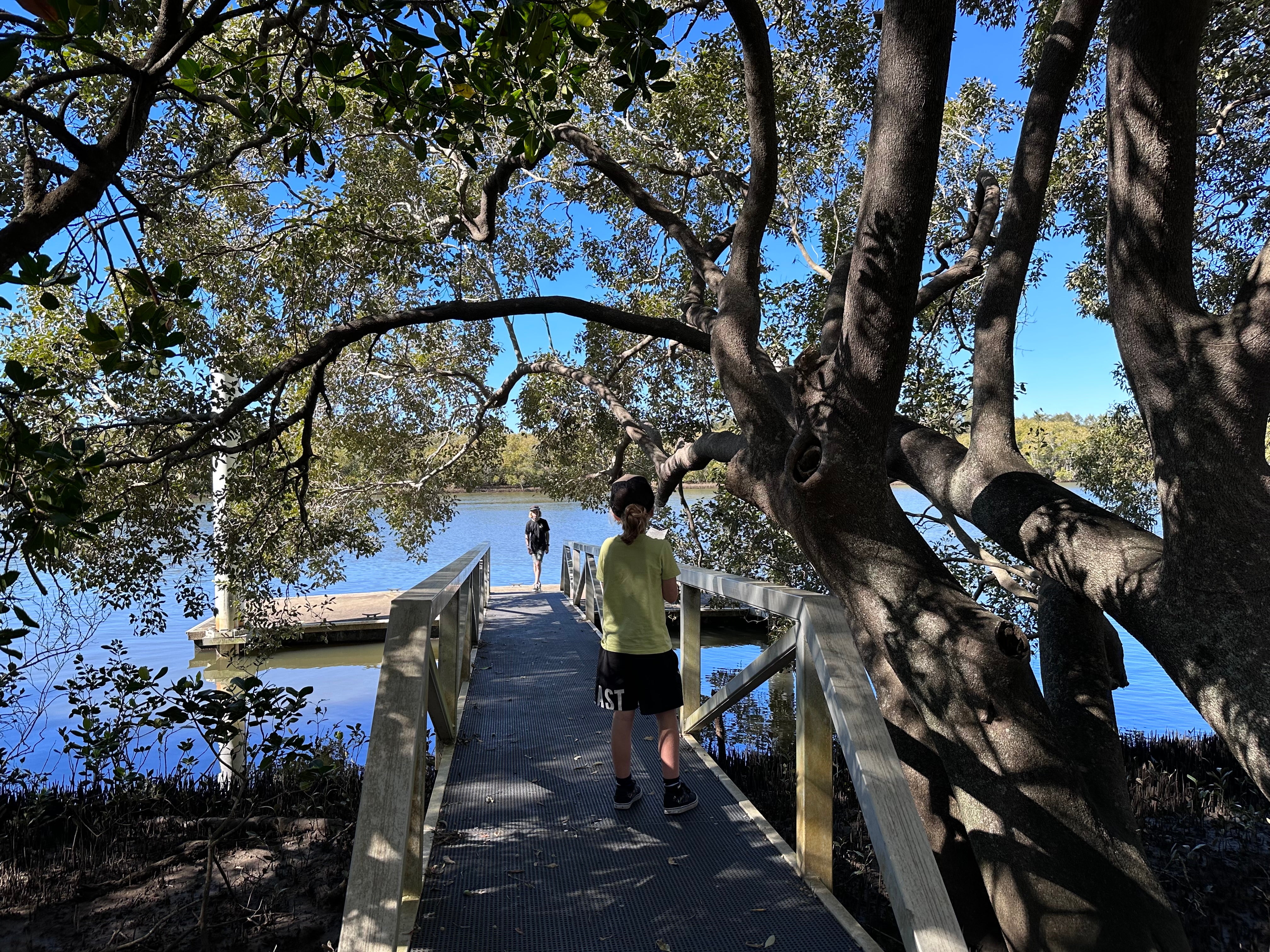 Maroochy%20Wetlands%20Sanctuary%20%2820%29.JPG
