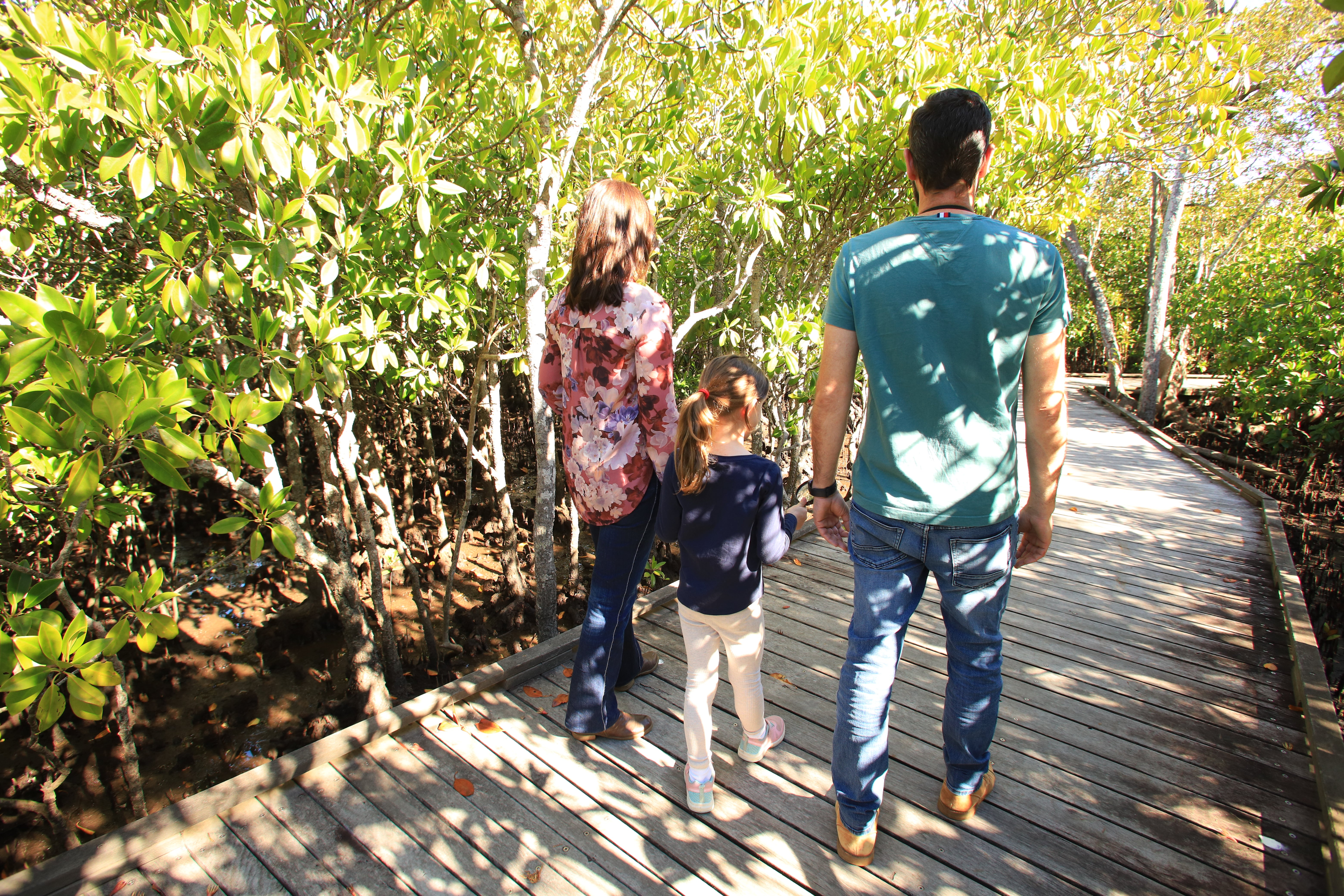 Maroochy Bushland BG pathway and visitors